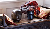 DESIGNER CLARE MATTHEWS: HOUSEPLANT PROJECT - BEGONIA IN BLACK CONTAINER IN LIVING ROOM