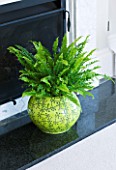 DESIGNER CLARE MATTHEWS: HOUSEPLANT PROJECT - YELLOW CONTAINER IN FIREPLACE PLANTED WITH BOSTON FERN - NEPHROLEPSIS EXALTATA BOSTONIENSIS