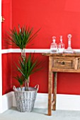 DESIGNER CLARE MATTHEWS: HOUSEPLANT PROJECT - WICKER CONTAINER IN LIVING ROOM PLANTED WITH DRACAENA MARGINATA - DRAGON TREE