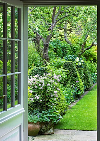 DESIGNER_BUTTER_WAKEFIELD__LONDON__VIEW_OUT_OF_KITCHEN_DOOR_TO_LAWN_AND_GREEN_BORDER_WITH_TERRACOTTA