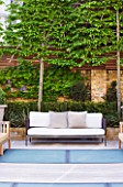 MODERN ROOF GARDEN BY STEPHEN WOODHAMS, LONDON: WOODEN BENCH/SEAT. DECK AND FROSTED GLASS SKYLIGHTS TO POOL BELOW. PLEACHED HORNBEAMS. CONTEMPORARY, DECKS, DECKING, DECKED