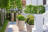 ROOF GARDEN DESIGNED BY STEPHEN WOODHAMS  LONDON: FRONT, GARDEN, GRAVEL, TERRACE, CERAMIC, CONTAINERS, CLIPPED, TOPIARY, BOX, BUXUS, HEDGE, HEDGING, PLEACHED
