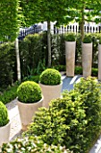 ROOF GARDEN DESIGNED BY STEPHEN WOODHAMS  LONDON: FRONT, GARDEN, GRAVEL, TERRACE, CERAMIC, CONTAINERS, CLIPPED, TOPIARY, BOX, BUXUS, HEDGE, HEDGING, PLEACHED, YEW, TAXUS