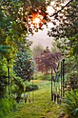 MOORS MEADOW GARDEN & NURSERY  HEREFORDSHIRE: GRASS PATH LEADING OUT OF GRASS GARDEN WITH BEAUTIFUL IRON GATES AT DAWN