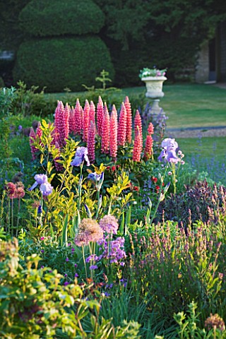NARBOROUGH_HALL_GARDENS__NORFOLK_THE_PASTEL_BORDER_WITH_ALLIUMS__IRIS_AND_LUPINS