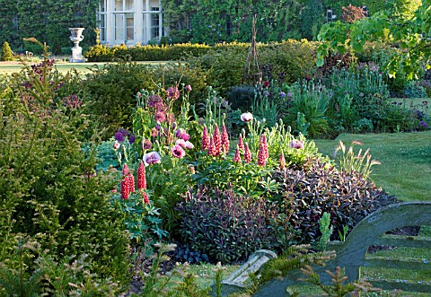 NARBOROUGH_HALL_GARDENS__NORFOLK_THE_PLUM_AND_CHOCOLATE_BORDER_WITH_LUPINS__POPPIES_AND_SAGE