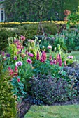 NARBOROUGH HALL GARDENS  NORFOLK: THE PLUM AND CHOCOLATE BORDER WITH LUPINS  POPPIES AND SAGE