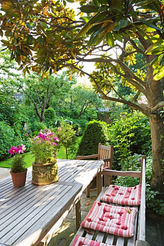DESIGNER_BUTTER_WAKEFIELD__LONDON__SMALL_TOWN_GARDEN_WITH_TABLE_AND_CHAIRS_ON_PATIO_COSMOS_IN_TERRAC