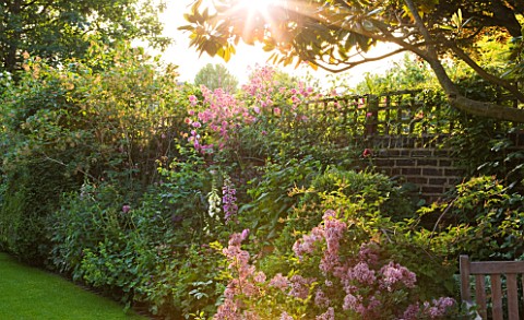 DESIGNER_BUTTER_WAKEFIELD__LONDON__BORDER_WITH_CENTRANTHUS__FOXGLOVES_AND_ROSES__EVENING_LIGHT