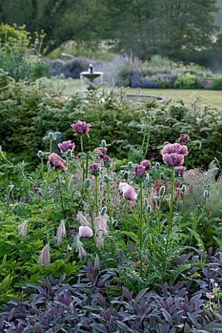 NARBOROUGH_HALL__NORFOLK_THE_FOUNTAIN_SEEN_FROM_THE_PLUM_AND_CHOCOLATE_BORDER_WITH_POPPIES__SAGE_AND