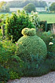 SANDHILL FARM HOUSE  HAMPSHIRE - DESIGNER ROSEMARY ALEXANDER: CLIPPED TOPIARY IN THE BORDERS