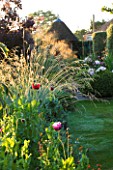 SANDHILL FARM HOUSE  HAMPSHIRE - DESIGNER ROSEMARY ALEXANDER: BACKLIGHTING ON BORDER WITH STIPA GIGANTEA AND ANNUAL POPPIES  SUMMER HOUSE IN THE BACKGROUND