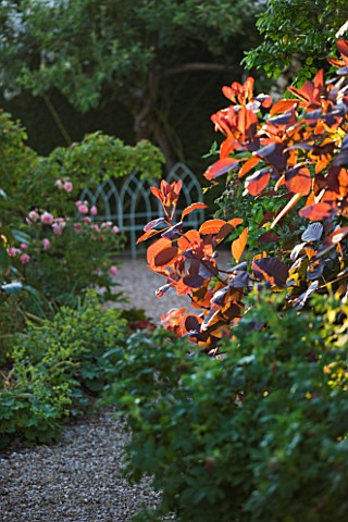 SANDHILL_FARM_HOUSE__HAMPSHIRE__DESIGNER_ROSEMARY_ALEXANDER_VIEW_TO_METAL_SEAT_ALONG_GRAVEL_PATH_WIT