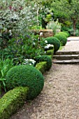 SANDHILL FARM HOUSE  HAMPSHIRE - DESIGNER ROSEMARY ALEXANDER: THE FRONT GARDEN - GRAVEL PATH WITH BOX BALLS AND LOW BOX HEDGING