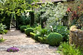 SANDHILL FARM HOUSE  HAMPSHIRE - DESIGNER ROSEMARY ALEXANDER: THE FRONT GARDEN - GRAVEL PATH - BOX BALLS  LOW BOX HEDGING  AND YEW- TAXUS BACCATA FASTIGIATA - LEADING TO  GATE