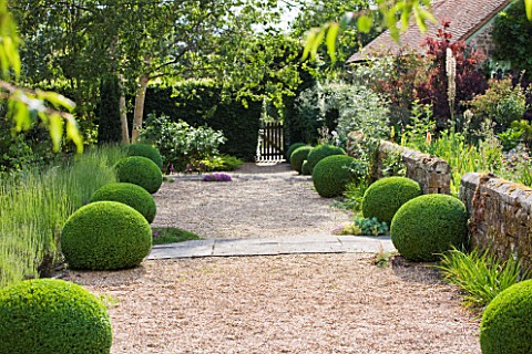 SANDHILL_FARM_HOUSE__HAMPSHIRE__DESIGNER_ROSEMARY_ALEXANDER__WIDE_GRAVEL_PATH_EDGED_WITH_CLIPPED_BOX