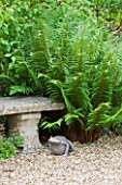 SANDHILL FARM HOUSE  HAMPSHIRE - DESIGNER ROSEMARY ALEXANDER - STONE SEAT AND METAL FROG SURROUNDED BY FERNS IN THE FRONT GARDEN