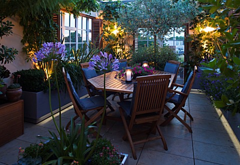 LONDON_ROOFTOP_GARDEN_LIT_UP_AT_NIGHT_WOODEN_TABLE_AND_CHAIRS__OLEA_EUROPEA__AGAPANTHUS__UMBELLATUS_