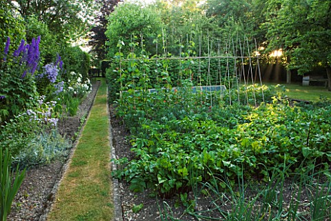 DESIGNER_ALISON_HENRY__PRIVATE_GARDEN_COTSWOLDS_THE_VEGETABLE_GARDEN_IN_JULY_PRODUCTIVE_FOOD_ENGLISH