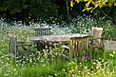 DESIGNER ALISON HENRY - PRIVATE GARDEN, COTSWOLDS: MEADOW WITH OXE EYE DAISIES AND WOODEN TABLE AND CHAIRS. CLASSIC, ENGLISH, GARDEN, DINING, ENTERTAINING, FOOD