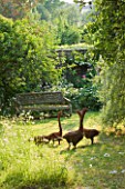DESIGNER ALISON HENRY - PRIVATE GARDEN, COTSWOLDS: MEADOW AND GRASS PATH WITH WOODEN BENCH AND WILLOW GEESE SCULPTURE BY RUPERT TILL - ORNAMENT, ENGLISH GARDEN, CLASSIC, COUNTRY