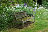 DESIGNER ALISON HENRY - PRIVATE GARDEN, COTSWOLDS: MEADOW AND GRASS PATH WITH OLD WOODEN BENCH / SEAT - ORNAMENT, ENGLISH GARDEN, CLASSIC, COUNTRY