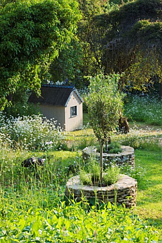DESIGNER_ALISON_HENRY__PRIVATE_GARDEN_COTSWOLDS_MEADOW_WITH_DRYSTONE_PLANTER_TREE_SEATS_AND_WENDY_HO