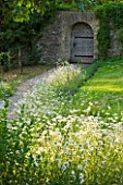 DESIGNER ALISON HENRY - PRIVATE GARDEN, COTSWOLDS: MEADOW WITH OXE EYE DAISIES, PATH AND WOODEN DOOR IN WALL -  ENGLISH GARDEN, CLASSIC, COUNTRY