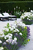 PRIVATE GARDEN, COTSWOLDS: DESIGNER ALISON HENRY - TERRACE / PATIO WITH SUN LOUNGERS, ROSE WINCHESTER CATHEDRAL AND LAVENDETR HIDCOTE. LIMESTONE PAVING, SEAT, SEATS, BENCHES