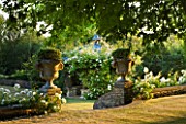 DESIGNER ALISON HENRY - PRIVATE GARDEN, COTSWOLDS: LAWN AND WALL WITH STONE URNS / CONTAINERS WITH HEBE - WHITE ICEBERG ROSES AND PERGOLA - ENGLISH GARDEN, CLASSIC, COUNTRY