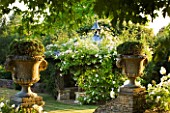 DESIGNER ALISON HENRY - PRIVATE GARDEN, COTSWOLDS: WALL WITH STONE URNS / CONTAINERS WITH HEBE - WHITE ICEBERG ROSES AND PERGOLA - ENGLISH GARDEN, CLASSIC, COUNTRY