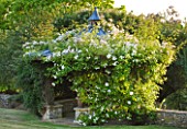 DESIGNER ALISON HENRY - PRIVATE GARDEN, COTSWOLDS: PERGOLA / SUMMER HOUSE, SUMMERHOUSE COVERED IN WHITE ROSES - ENGLISH GARDEN, CLASSIC, COUNTRY