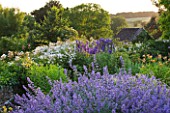 DESIGNER ALISON HENRY - PRIVATE GARDEN, COTSWOLDS: BLUE AND WHITE / PURPLE AND WHITE BORDER WITH NEPETA AND DELPHINIUMS - ENGLISH GARDEN, CLASSIC, COUNTRY