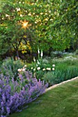 DESIGNER ALISON HENRY, PRIVATE GARDEN, COTSWOLDS - LAWN WITH BORDER OF NEPETA - COUNTRY, GARDEN, SUMMER, CLASSIC, ENGLISH