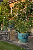 DESIGNER ALISON HENRY, PRIVATE GARDEN, COTSWOLDS - STONE TERRACE / PATIO BESIDE THE HOUSE WITH BRONZE CONTAINER WITH CORDYLINE - COUNTRY, GARDEN, SUMMER, CLASSIC, ENGLISH