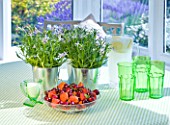 DESIGNER CLARE MATTHEWS: HOUSEPLANT - TABLE SETTING WITH GREEN GLASSES  BOWL OF FRUIT AND METAL CONTAINERS PLANTED WITH ISOTOMA AXILLARIS