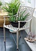 DESIGNER CLARE MATTHEWS: CONSERVATORY WITH BLACK METAL CONTAINER PLANTED WITH AN ALOE  ON METAL CHAIR