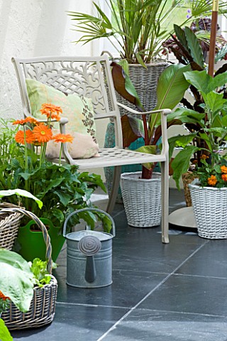 DESIGNER_CLARE_MATTHEWS__CONSERVATORY_WITH_METAL_CHAIR_AND_VARIOUS_CONTAINERS_PLANTED_WITH_HERBS_AND