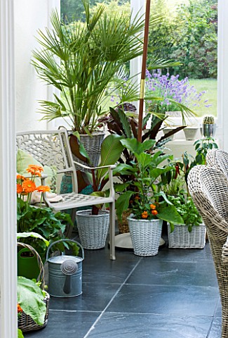 DESIGNER_CLARE_MATTHEWS__CONSERVATORY_WITH_METAL_CHAIR__WICKER_CHAIRS_AND_TABLE_AND_VARIOUS_CONTAINE