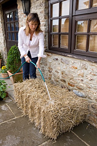 DESIGNER_CLARE_MATTHEWS__GROWING_STRAWBERRIES_AND_NASTURTIUMS_IN_A_STRAW_BALE_WATER_BALE_WELL_FOR_FO