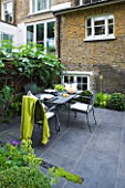 DESIGNER CHARLOTTE ROWE LONDON: SMALL, TOWN, CITY, FORMAL, CONTEMPORARY, GARDEN, PAVING, TERRACE, PATIO, FENCES, FENCING, SCREENS, WOODEN, BLACK, TABLE, CHAIRS, CUSHIONS, ENTERTAINING, FIG, FICUS