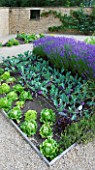 WHATLEY MANOR  WILTSHIRE: THE POTAGER/ VEGETABLE GARDEN WITH LETTUCES  KOHLRABI AND LAVENDER