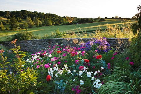 WHATLEY_MANOR__WILTSHIRE_VIEW_OF_WILTSHIRE_COUNTRYSIDE_WITH_FLOWERS_FOR_BEES_AND_BUTTERFLIES__COSMOS