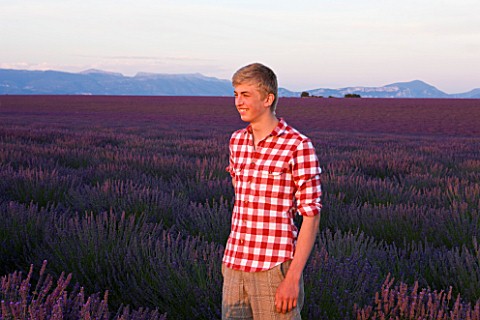 TEENAGE_BOY_AGED_16_WITH_RED_AND_WHITE_SHIRT_IN_FIELD_OF_PURPLE_LAVENDER_NEAR_VALENSOLE__PROVENCE__F