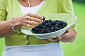 DESIGNER CLARE MATTHEWS: CLARE HOLDING A BOWL FILLED WITH FRESHLY PICKED BLACKBERRIES