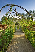 WHATLEY MANOR  WILTSHIRE: PATH UNDER SWEET PEA TUNNEL IN THE VEGETABLE/ KITCHEN GARDEN/ POTAGER