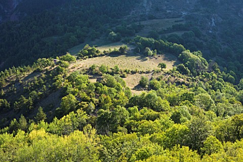 DIGNE_LES_BAINS__FRANCE_MOUNTAINS_NORTH_OF_DIGNE_LES__BAINS_WITH_THE_MOUNTAIN_REFUGE_OF_VIEIL_ESCLAN