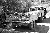 DIGNE LES BAINS  FRANCE: BLACK AND WHITE IMAGE OF TRUCK WITH TRAILER FILLED WITH ROCKS FOR ANDY GOLDSWORTHY