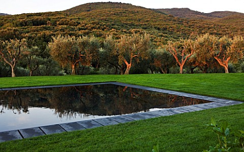 ARGENTARIO_GARDEN__ITALY__DESIGNER_PAOLO_PEJRONE___BLACK_SWIMMING_POOL_WITH_OLIVES