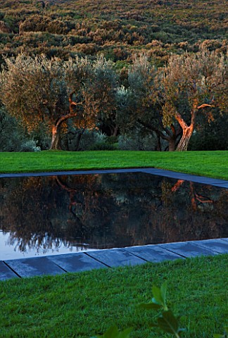 ARGENTARIO_GARDEN__ITALY__DESIGNER_PAOLO_PEJRONE___BLACK_SWIMMING_POOL_WITH_OLIVES